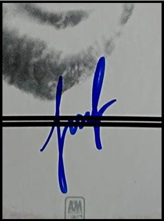 Cat Stevens ‘Foreigner’ Autographed Album Cover