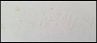 Jim Morrison Signature Cut